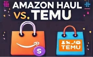 Amazon Haul Vs. Temu: Which Is Better For Bargain Hunters?